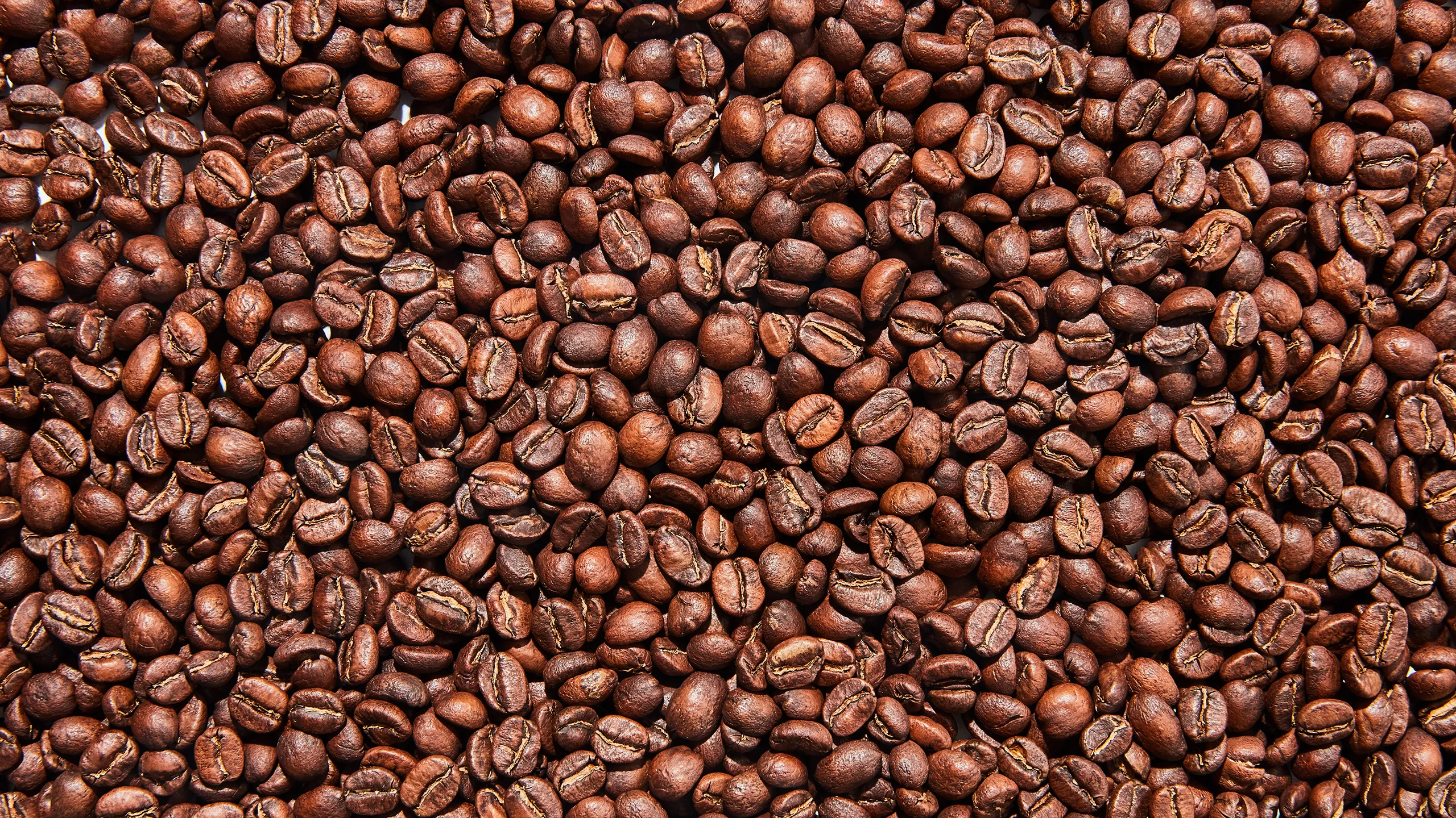 RAREST coffee beans